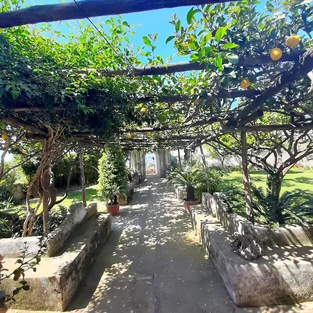 O' Suppigno - Historic House Διαμέρισμα Προτσίντα